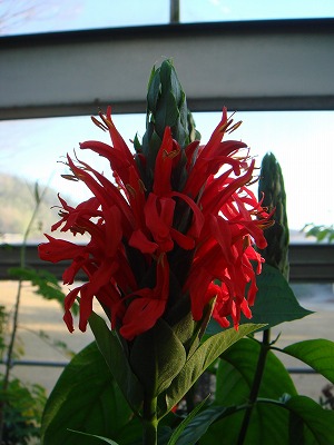 145e6041.jpg