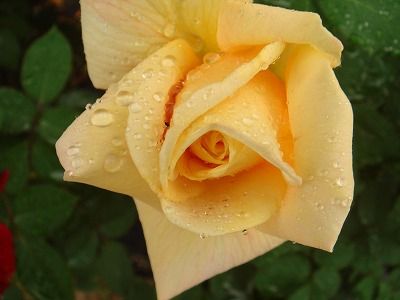 DSC02044