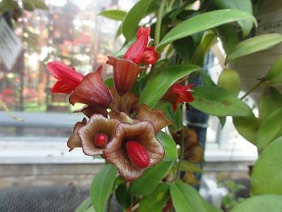 DSC05266