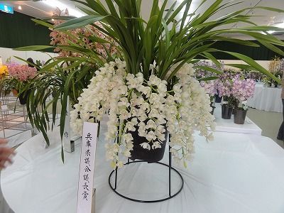 DSC08201