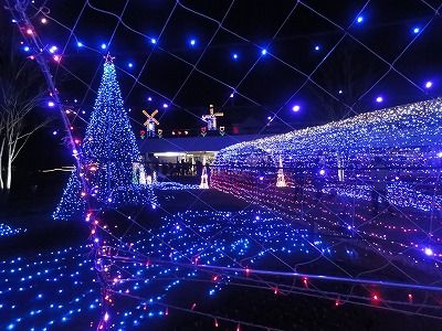 DSC08098