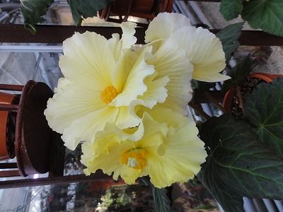 DSC07194