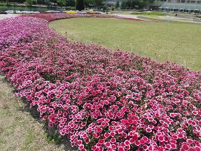 DSC01865
