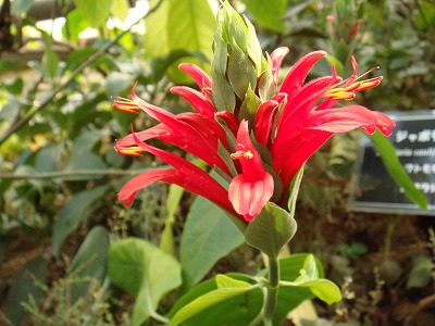c37833c9.jpg