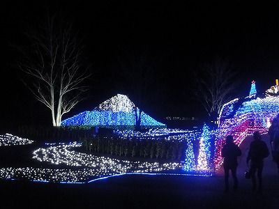 DSC08170