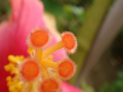 DSC05301