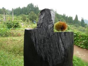 P1070968_R