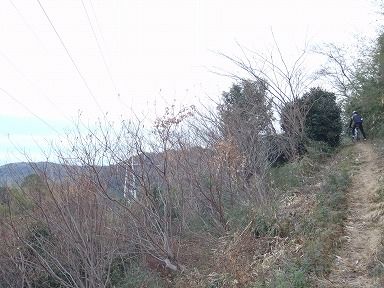 daijya (2)