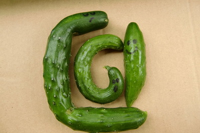 CIMG1535