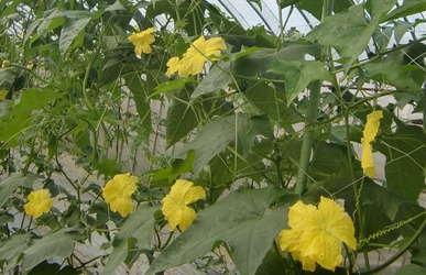 CIMG1490