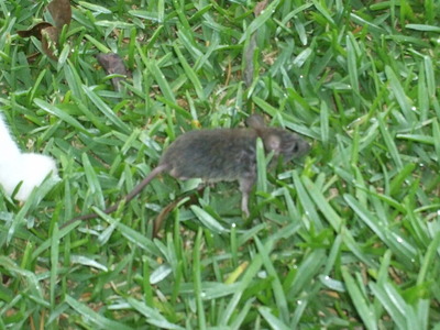 DSCF5636