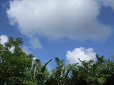 DSCF5692