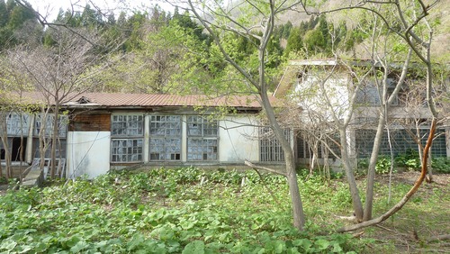 P1130994
