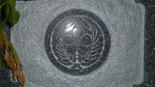 P1050699