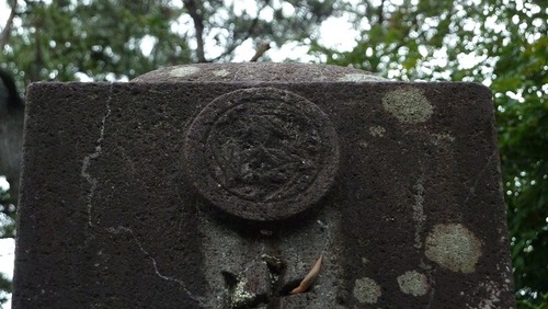 P1050761
