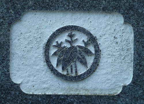 P1080241