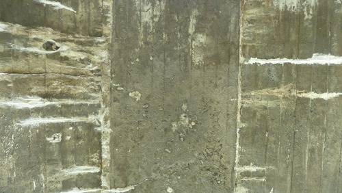 P1050589