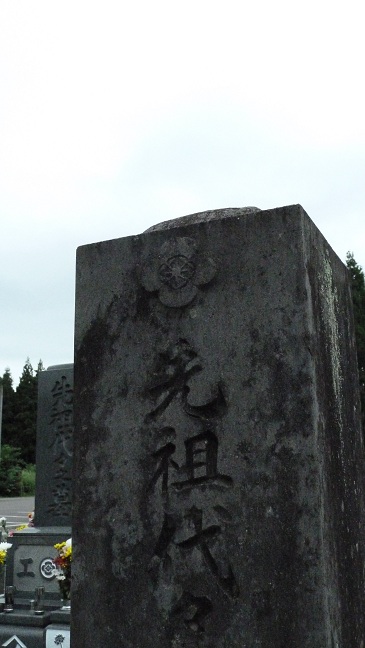 P1050353