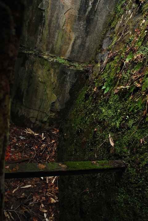DSC_0203