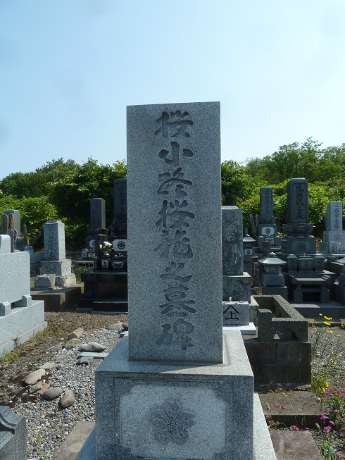 P1140503