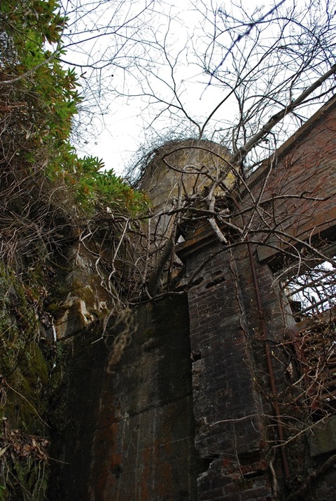 DSC_0217