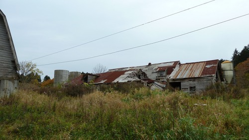 P1080428