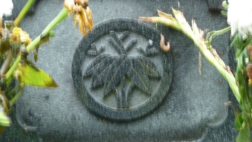 P1050767