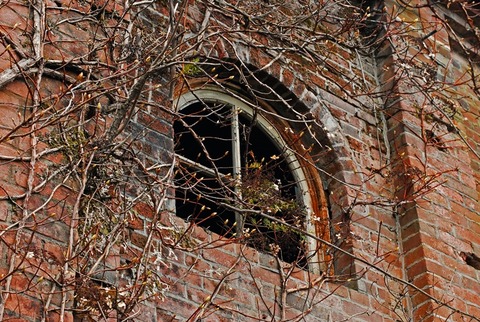 DSC_0231
