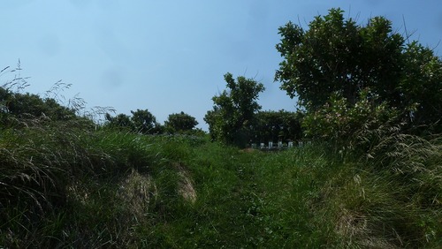 P1140528
