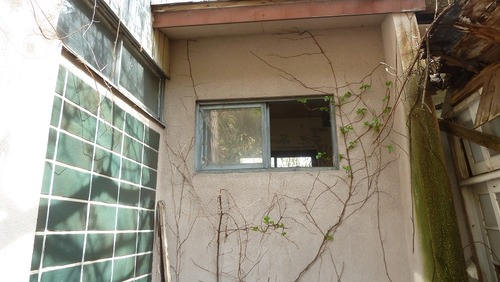 P1130996