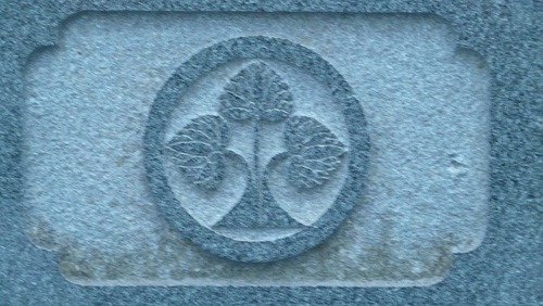 P1050692