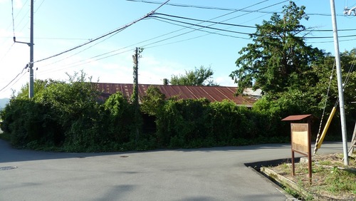P1060049
