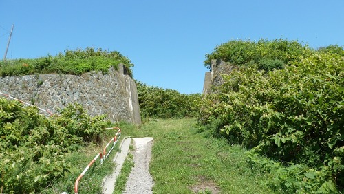 P1050602