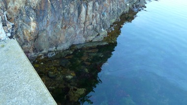 P1050620