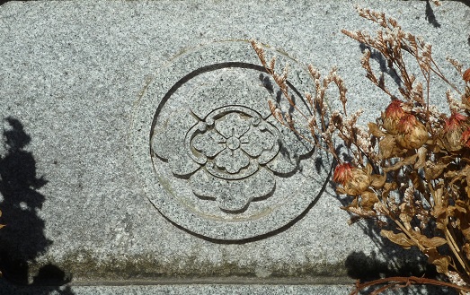 P1160117 丸に木瓜花菱