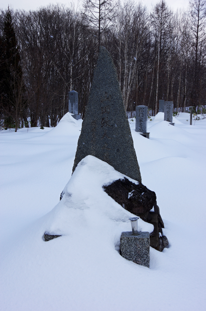 IMGP3517
