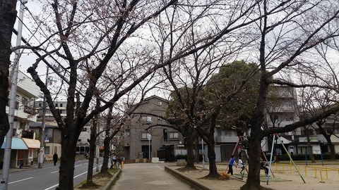 20190328_hanaten_1