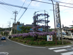CIMG1599