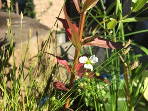 IMG_3340