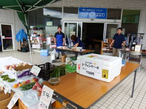DSCF7354