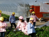69b54526.jpg