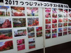 DSCF0466
