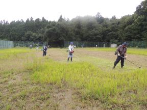 DSCN5040