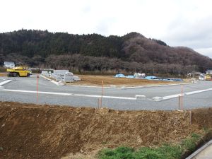 DSCF6429