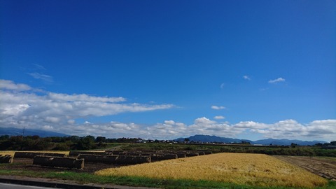浅科1
