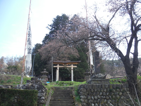 DSCF2483