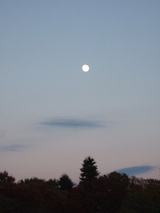 0e096a96.JPG