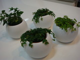 2012 01 13 003