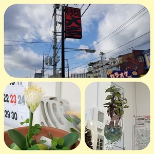 20181109_235749