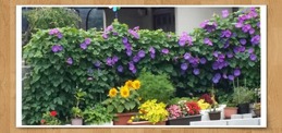 20170621_214057